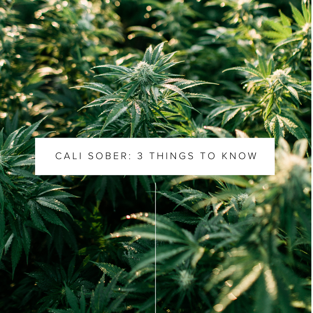 Cali Sober: 3 Things to Know